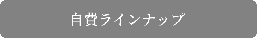 自費ラインナップ